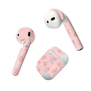 Air Pods ��p �f�U�C���X�L���V�[�� airpods �G�A�|�b�h apple �A�b�v�� AirPods ��ꐢ��i2016�jairpods2 ��񐢑�i2019�j�Ή� �C���z�� �J�o�[ �f�R���[�V���� �A�N�Z�T���[ �f�R�V�[�� 011846 �ԕ��@