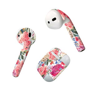 Air Pods p fUCXLV[ airpods GA|bh apple Abv AirPods ꐢi2016jairpods2 񐢑i2019jΉ Cz Jo[ fR[V ANZT[ fRV[ 011883 ԕ@
