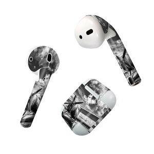 Air Pods ��p �f�U�C���X�L���V�[�� airpods �G�A�|�b�h apple �A�b�v�� AirPods ��ꐢ��i2016�jairpods2 ��񐢑�i2019�j�Ή� �C���z�� �J�o�[ �f�R���[�V���� �A�N�Z�T���[ �f�R�V�[�� 011903 ��s�@