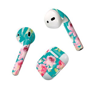 Air Pods p fUCXLV[ airpods GA|bh apple Abv AirPods ꐢi2016jairpods2 񐢑i2019jΉ Cz Jo[ fR[V ANZT[ fRV[ 012287 ԁ@