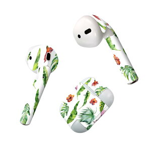 Air Pods p fUCXLV[ airpods GA|bh apple Abv AirPods ꐢi2016jairpods2 񐢑i2019jΉ Cz Jo[ fR[V ANZT[ fRV[ 014789 t~