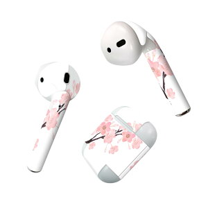 Air Pods p fUCXLV[ airpods GA|bh apple Abv AirPods ꐢi2016jairpods2 񐢑i2019jΉ Cz Jo[ fR[V ANZT[ fRV[ 016455 