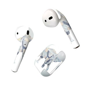 Air Pods ��p �f�U�C���X�L���V�[�� airpods �G�A�|�b�h apple �A�b�v�� AirPods ��ꐢ��i2016�jairpods2 ��񐢑�i2019�j�Ή� �C���z�� �J�o�[ �f�R���[�V���� �A�N�Z�T���[ �f�R�V�[�� 017544 �]�E�@