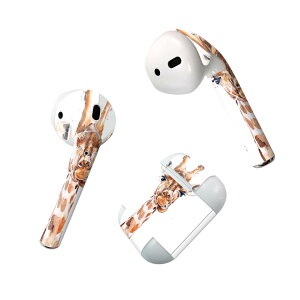 Air Pods p fUCXLV[ airpods GA|bh apple Abv AirPods ꐢi2016jairpods2 񐢑i2019jΉ Cz Jo[ fR[V ANZT[ fRV[ 017749 iف@