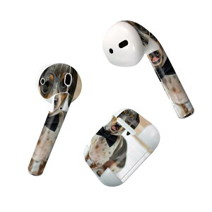 Air Pods p fUCXLV[ airpods GA|bh apple Abv AirPods ꐢi2016jairpods2 񐢑i2019jΉ Cz Jo[ fR[V ANZT[ fRV[ 018326  ʐ^