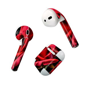 Air Pods p fUCXLV[ airpods GA|bh apple Abv AirPods ꐢi2016jairpods2 񐢑i2019jΉ Cz Jo[ fR[V ANZT[ fRV[ 018330 ʐ^ o