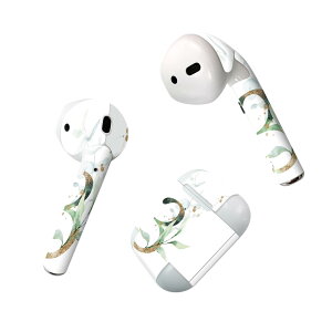 Air Pods ��p �f�U�C���X�L���V�[�� airpods �G�A�|�b�h apple �A�b�v�� AirPods ��ꐢ��i2016�jairpods2 ��񐢑�i2019�j�Ή� �C���z�� �J�o�[ �f�R���[�V���� �A�N�Z�T���[ �f�R�V�[�� 019112 �t�H��