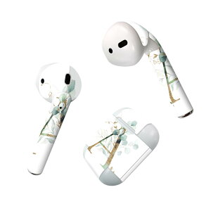 Air Pods p fUCXLV[ airpods GA|bh apple Abv AirPods ꐢi2016jairpods2 񐢑i2019jΉ Cz Jo[ fR[V ANZT[ fRV[ 019119 tH