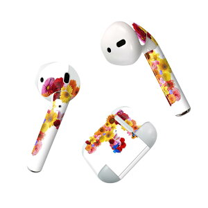 Air Pods p fUCXLV[ airpods GA|bh apple Abv AirPods ꐢi2016jairpods2 񐢑i2019jΉ Cz Jo[ fR[V ANZT[ fRV[ 019311 tH
