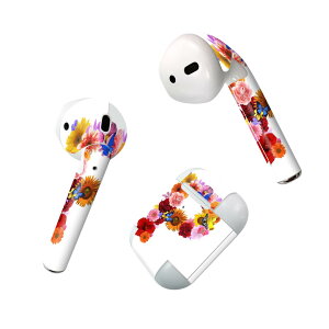 Air Pods p fUCXLV[ airpods GA|bh apple Abv AirPods ꐢi2016jairpods2 񐢑i2019jΉ Cz Jo[ fR[V ANZT[ fRV[ 019321 tH