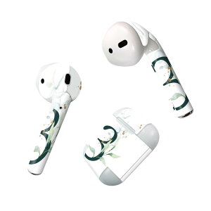 Air Pods p fUCXLV[ airpods GA|bh apple Abv AirPods ꐢi2016jairpods2 񐢑i2019jΉ Cz Jo[ fR[V ANZT[ fRV[ 019372 tH