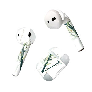 Air Pods p fUCXLV[ airpods GA|bh apple Abv AirPods ꐢi2016jairpods2 񐢑i2019jΉ Cz Jo[ fR[V ANZT[ fRV[ 019400 tH