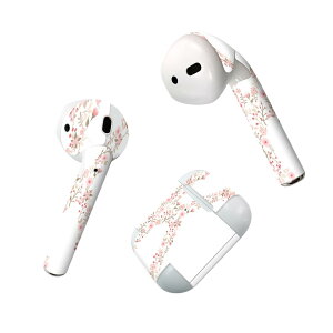 Air Pods p fUCXLV[ airpods GA|bh apple Abv AirPods ꐢi2016jairpods2 񐢑i2019jΉ Cz Jo[ fR[V ANZT[ fRV[ 019571 tH