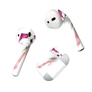 Air Pods ��p �f�U�C���X�L���V�[�� airpods �G�A�|�b�h apple �A�b�v�� AirPods ��ꐢ��i2016�jairpods2 ��񐢑�i2019�j�Ή� �C���z�� �J�o�[ �f�R���[�V���� �A�N�Z�T���[ �f�R�V�[�� 019686 �t�H��