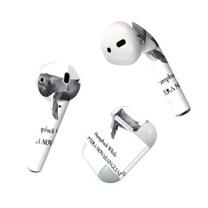Air Pods ��p �f�U�C���X�L���V�[�� airpods �G�A�|�b�h apple �A�b�v�� AirPods ��ꐢ��i2016�jairpods2 ��񐢑�i2019�j�Ή� �C���z�� �J�o�[ �f�R���[�V���� �A�N�Z�T���[ �f�R�V�[�� 019740 �f�U�C