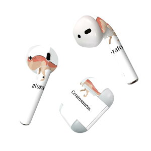 Air Pods p fUCXLV[ airpods GA|bh apple Abv AirPods ꐢi2016jairpods2 񐢑i2019jΉ Cz Jo[ fR[V ANZT[ fRV[ 019772  