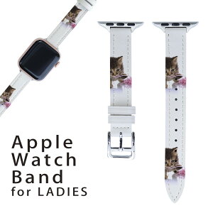 AbvEHb` p oh Apple Watch p  U[ xg  38mm 40mm 41mm fB[X AppleWatchp SV[YΉ ESeries2ESeries3ESeries4ESeries5ESeries6ESeries7ESE Ή 002881 L@