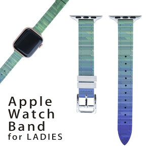 �A�b�v���E�H�b�` �p �o���h Apple Watch �p ��� ���U�[ �x���g ���� 38mm 40mm 41mm ���f�B�[�X AppleWatch�p �S�V���[�Y�Ή� ����ESeries2�ESeries3�ESeries4�ESeries5�ESeries6�ESeries7�ESE �Ή� 005546 ���C���{