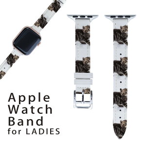 �A�b�v���E�H�b�` �p �o���h Apple Watch �p ��� ���U�[ �x���g ���� 38mm 40mm 41mm ���f�B�[�X AppleWatch�p �S�V���[�Y�Ή� ����ESeries2�ESeries3�ESeries4�ESeries5�ESeries6�ESeries7�ESE �Ή� 005930 �A�j�}�� 