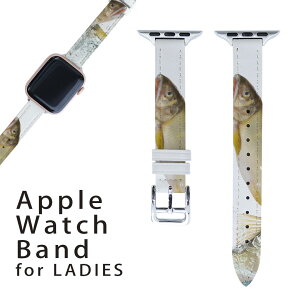 �A�b�v���E�H�b�` �p �o���h Apple Watch �p ��� ���U�[ �x���g ���� 38mm 40mm 41mm ���f�B�[�X AppleWatch�p �S�V���[�Y�Ή� ����ESeries2�ESeries3�ESeries4�ESeries5�ESeries6�ESeries7�ESE �Ή� 007741 ���@����