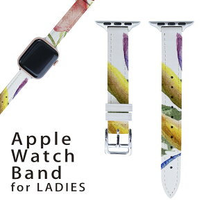 �A�b�v���E�H�b�` �p �o���h Apple Watch �p ��� ���U�[ �x���g ���� 38mm 40mm 41mm ���f�B�[�X AppleWatch�p �S�V���[�Y�Ή� ����ESeries2�ESeries3�ESeries4�ESeries5�ESeries6�ESeries7�ESE �Ή� 007980 �ԁ@�@��