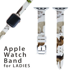 アップルウォッチ 用 バンド Apple Watch 用 取替 レザー ベルト 女性 38mm 40mm 41mm レディース AppleWatch用 全シリーズ対応 初代・Series2・Series3・Series4・Series5・Series6・Series7・SE 対応 008864 写真 虎