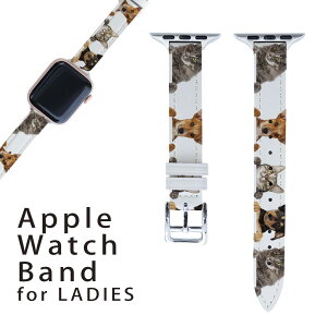 AbvEHb` p oh Apple Watch p  U[ xg  38mm 40mm 41mm fB[X AppleWatchp SV[YΉ ESeries2ESeries3ESeries4ESeries5ESeries6ESeries7ESE Ή 009675 @L@