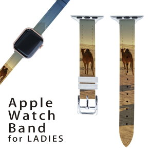 AbvEHb` p oh Apple Watch p  U[ xg  38mm 40mm 41mm fB[X AppleWatchp SV[YΉ ESeries2ESeries3ESeries4ESeries5ESeries6ESeries7ESE Ή 010934 炭@