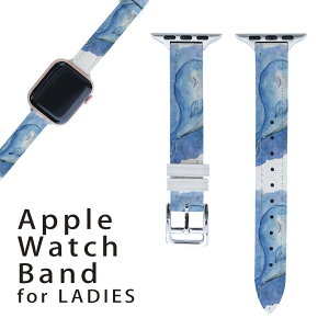AbvEHb` p oh Apple Watch p  U[ xg  38mm 40mm 41mm fB[X AppleWatchp SV[YΉ ESeries2ESeries3ESeries4ESeries5ESeries6ESeries7ESE Ή 013611 NW@