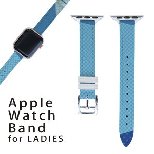 AbvEHb` p oh Apple Watch p  U[ xg  38mm 40mm 41mm fB[X AppleWatchp SV[YΉ ESeries2ESeries3ESeries4ESeries5ESeries6ESeries7ESE Ή 014696 ͗l@@