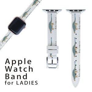 AbvEHb` p oh Apple Watch p  U[ xg  38mm 40mm 41mm fB[X AppleWatchp SV[YΉ ESeries2ESeries3ESeries4ESeries5ESeries6ESeries7ESE Ή 017691  A
