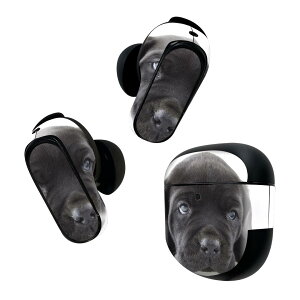 Bose QuietComfort Earbuds II p XLV[ {[Y CobY2 p@XebJ[@{3Zbg P[X1Zbg ی tB fR   t`uhbN _bNXtg 000127