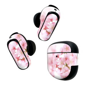 Bose QuietComfort Earbuds II �p �X�L���V�[�� �{�[�Y �C���o�b�Y2 �p�@�X�e�b�J�[�@�{��3�Z�b�g �P�[�X1�Z�b�g �ی� �t�B���� �f�R ���@ 000886