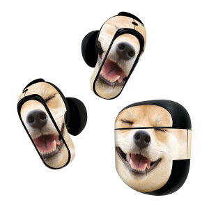 Bose QuietComfort Earbuds II �p �X�L���V�[�� �{�[�Y �C���o�b�Y2 �p�@�X�e�b�J�[�@�{��3�Z�b�g �P�[�X1�Z�b�g �ی� �t�B���� �f�R ���@�Č� 000926