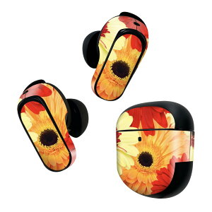 Bose QuietComfort Earbuds II p XLV[ {[Y CobY2 p@XebJ[@{3Zbg P[X1Zbg ی tB fR ԁ@K[x 000990