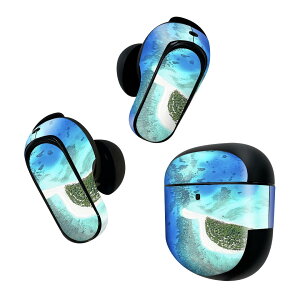 Bose QuietComfort Earbuds II p XLV[ {[Y CobY2 p@XebJ[@{3Zbg P[X1Zbg ی tB fR @C 001045