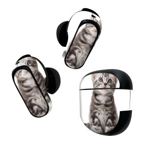 Bose QuietComfort Earbuds II p XLV[ {[Y CobY2 p@XebJ[@{3Zbg P[X1Zbg ی tB fR L@AJV[gwA 001070