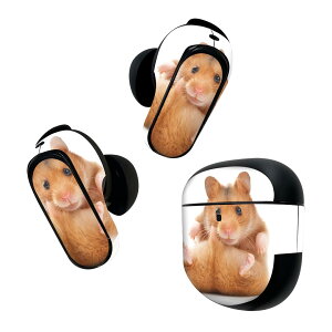 Bose QuietComfort Earbuds II p XLV[ {[Y CobY2 p@XebJ[@{3Zbg P[X1Zbg ی tB fR nX^[@ 001075
