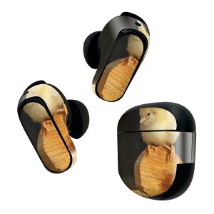 Bose QuietComfort Earbuds II p XLV[ {[Y CobY2 p@XebJ[@{3Zbg P[X1Zbg ی tB fR qR@n[g 001101