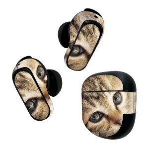 Bose QuietComfort Earbuds II p XLV[ {[Y CobY2 p@XebJ[@{3Zbg P[X1Zbg ی tB fR lR@ 001172