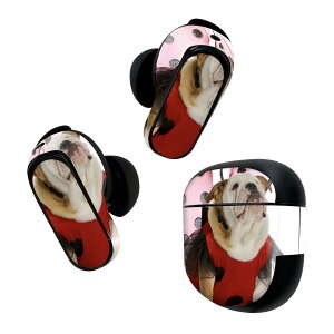 Bose QuietComfort Earbuds II p XLV[ {[Y CobY2 p@XebJ[@{3Zbg P[X1Zbg ی tB fR @ĂƂ 001176