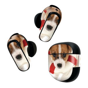 Bose QuietComfort Earbuds II �p �X�L���V�[�� �{�[�Y �C���o�b�Y2 �p�@�X�e�b�J�[�@�{��3�Z�b�g �P�[�X1�Z�b�g �ی� �t�B���� �f�R ���@���� 001242