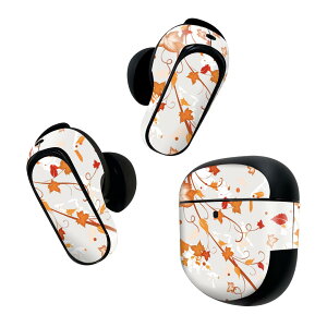 Bose QuietComfort Earbuds II �p �X�L���V�[�� �{�[�Y �C���o�b�Y2 �p�@�X�e�b�J�[�@�{��3�Z�b�g �P�[�X1�Z�b�g �ی� �t�B���� �f�R �g�t�@�H 001294