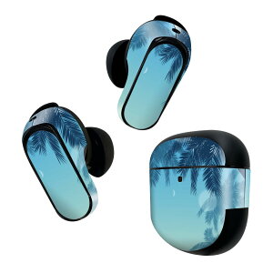 Bose QuietComfort Earbuds II p XLV[ {[Y CobY2 p@XebJ[@{3Zbg P[X1Zbg ی tB fR V̖ 001358