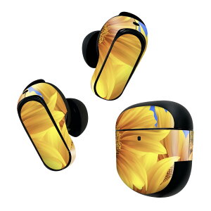 Bose QuietComfort Earbuds II p XLV[ {[Y CobY2 p@XebJ[@{3Zbg P[X1Zbg ی tB fR Ђ܂ 001397