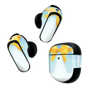 Bose QuietComfort Earbuds II p XLV[ {[Y CobY2 p@XebJ[@{3Zbg P[X1Zbg ی tB fR ̌@~@V{ 001439