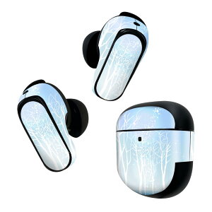 Bose QuietComfort Earbuds II p XLV[ {[Y CobY2 p@XebJ[@{3Zbg P[X1Zbg ی tB fR iF@F 001451