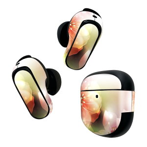 Bose QuietComfort Earbuds II �p �X�L���V�[�� �{�[�Y �C���o�b�Y2 �p�@�X�e�b�J�[�@�{��3�Z�b�g �P�[�X1�Z�b�g �ی� �t�B���� �f�R �ԁ@�@�J���t�� 001990