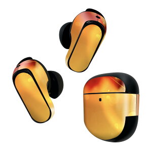 Bose QuietComfort Earbuds II p XLV[ {[Y CobY2 p@XebJ[@{3Zbg P[X1Zbg ی tB fR Vv@IW 002009