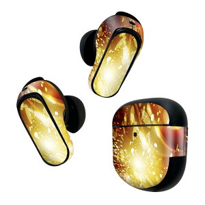 Bose QuietComfort Earbuds II �p �X�L���V�[�� �{�[�Y �C���o�b�Y2 �p�@�X�e�b�J�[�@�{��3�Z�b�g �P�[�X1�Z�b�g �ی� �t�B���� �f�R �͗l�@�I�����W�@�� 002279